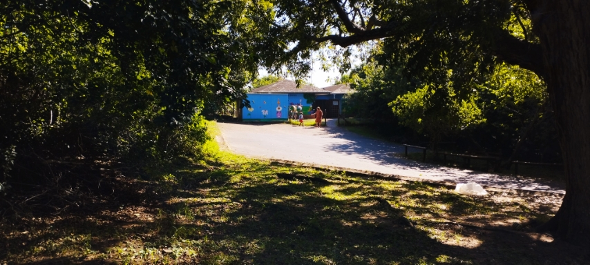 2023-04-20_17-12-31_934 (Small) 2023-04-20_17-12-31_934 (Small)