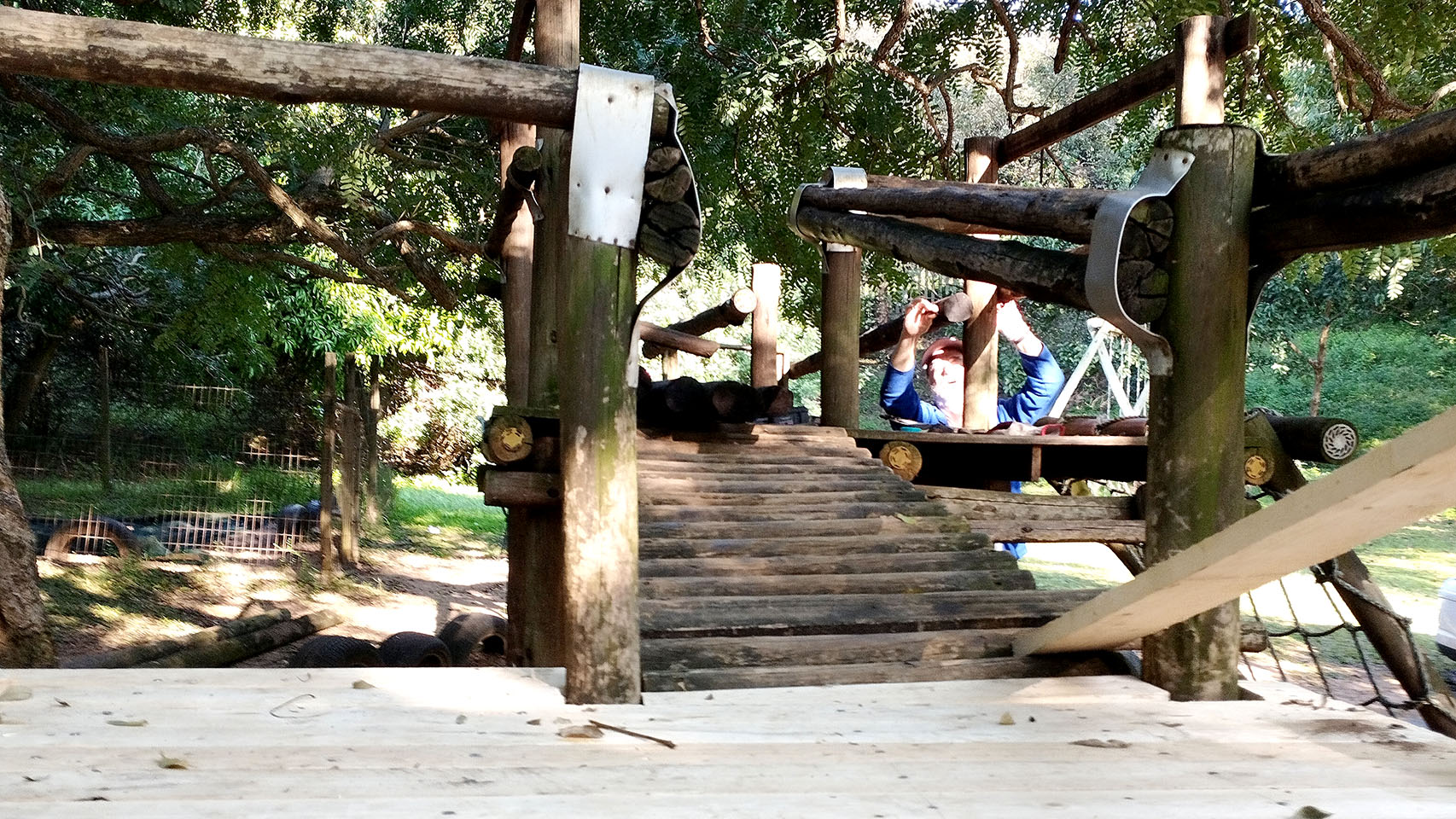 IMG_20230612_090150 IMG_20230612_090150